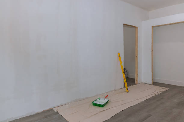 Mold Documentation for Insurance Claims in Pineland, TX